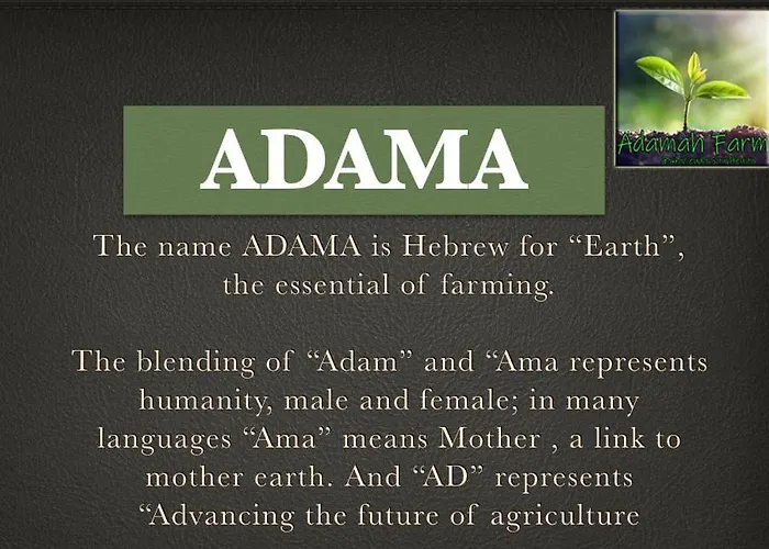 Adama Farmhouse @ Hacienda San Benito